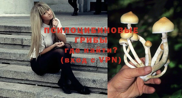 ешки Алексин