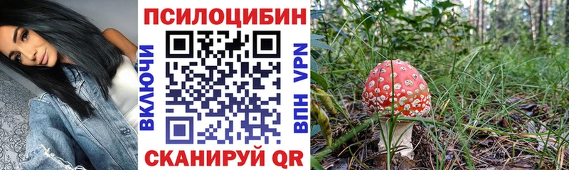 Псилоцибиновые грибы ЛСД  Бокситогорск 