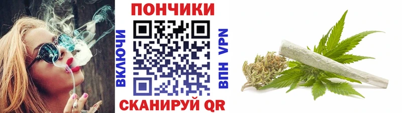 купить наркоту  Бокситогорск  Бошки марихуана конопля 